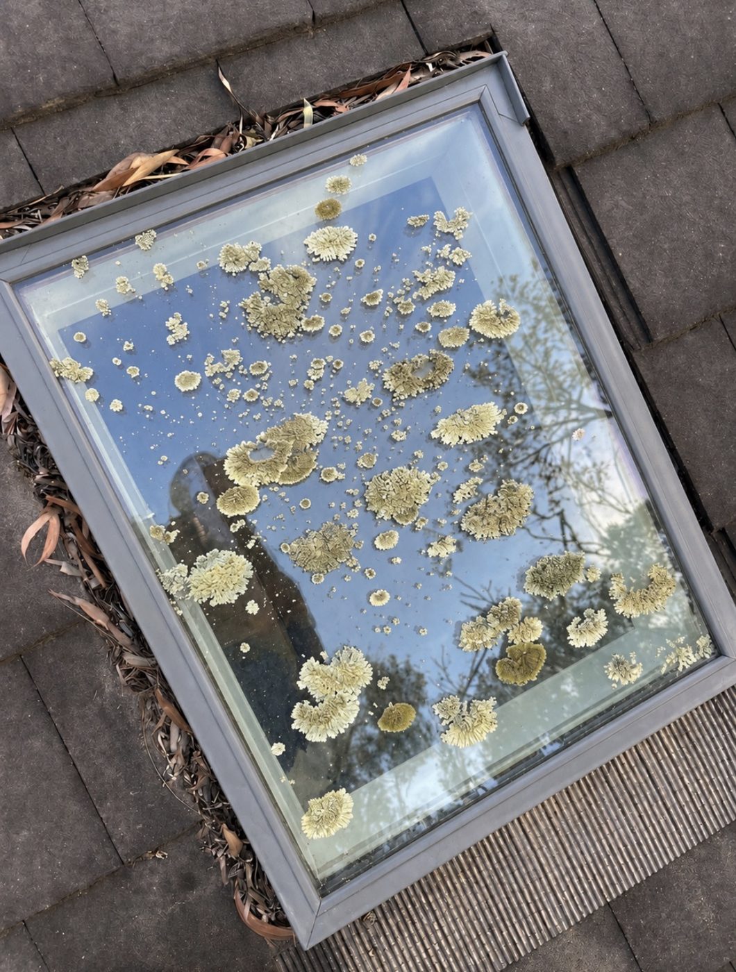 Glass before cleaning